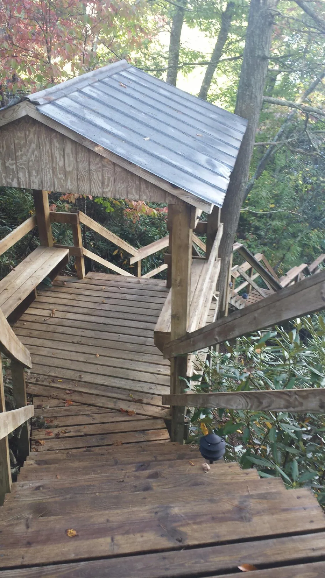 Metal roofed shelter over wooden steps on a wooded walkway — Skylight Repair & Installation work by our crew in Minturn