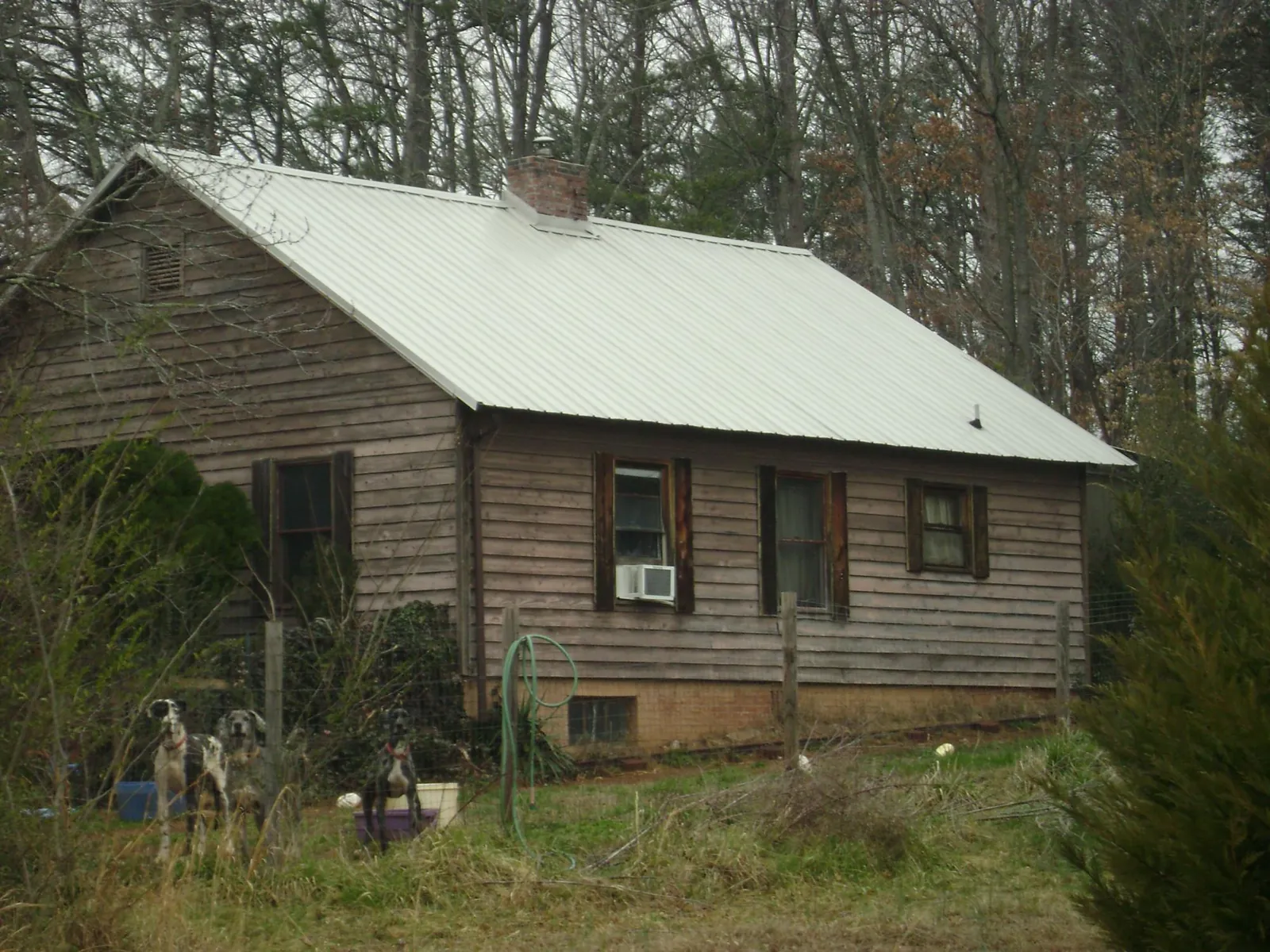White metal roof on an old wood sided farmhouse, from a Asphalt Shingle Roof Repair job in Minturn